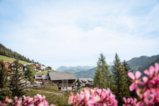 Immagine: Agriturismo Tlisöra, Val Badia