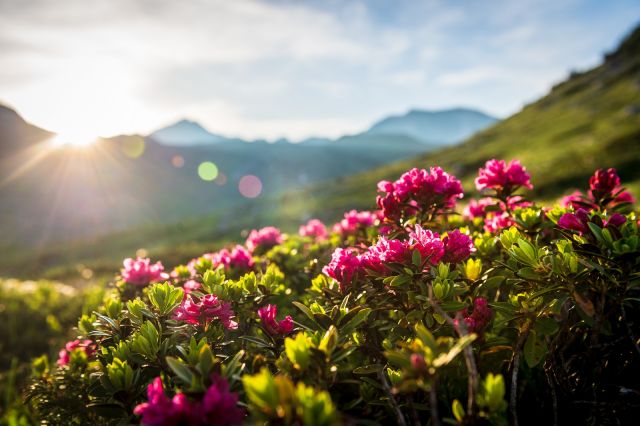 Immagine: Passeggiate in Val Badia