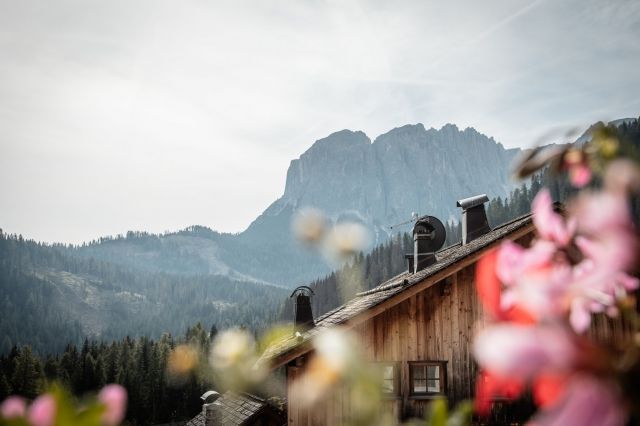 Immagine: Il nostro maso, Tlisöra